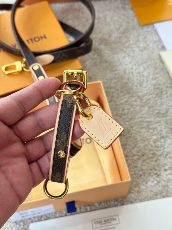 LV Pet Collar + Leash (2 in 1)